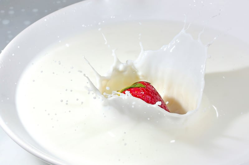 Artistic Dish